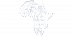 Trouvaille Travel
